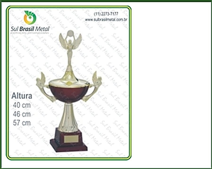 trofeus Sul Brasil Metal 1