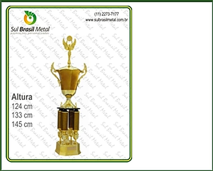 trofeus Sul Brasil Metal 17
