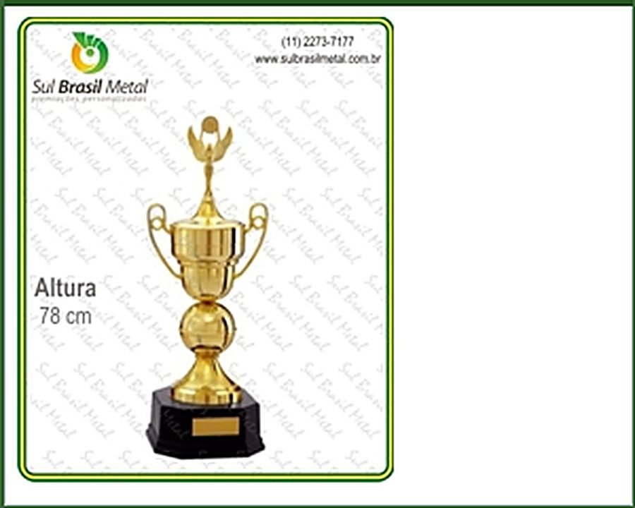 trofeus Sul Brasil Metal 24